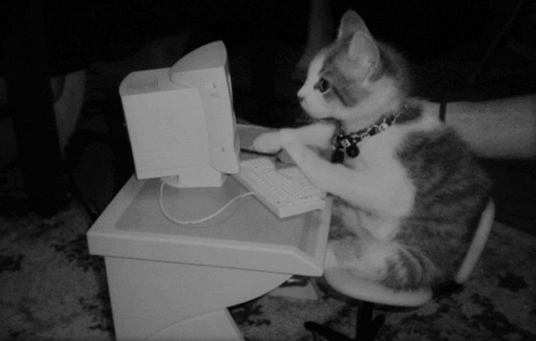 Adjusting to Study&nbsp;Online